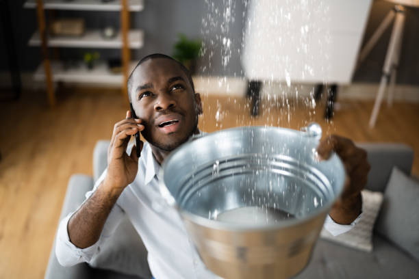 Best Flood restoration services  in Cedar Hill, TX