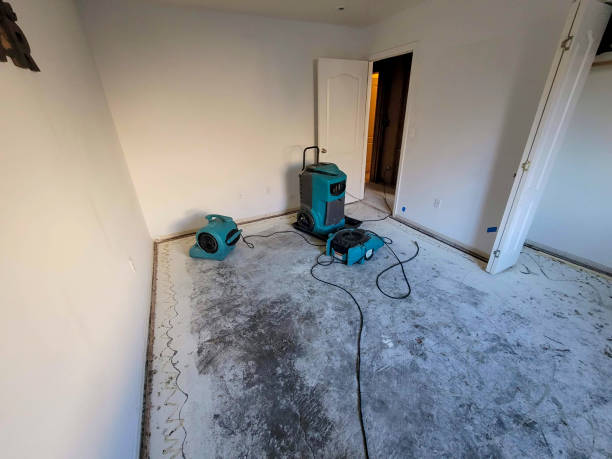 Best Flooded house restoration  in Cedar Hill, TX