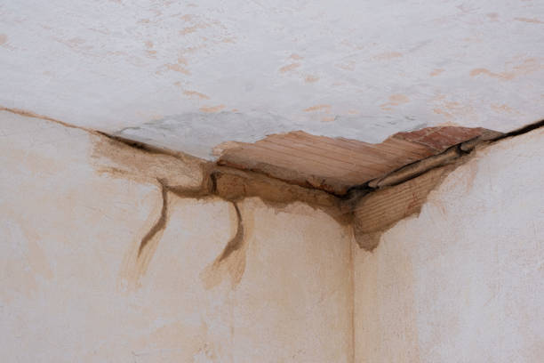 Best Ceiling water damage repair  in Cedar Hill, TX