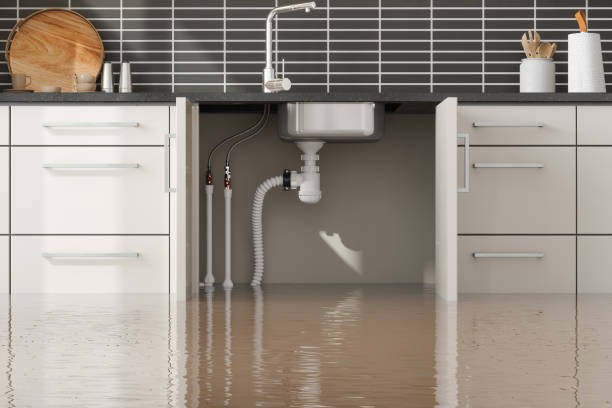 Best 24/7 water damage repair  in Cedar Hill, TX